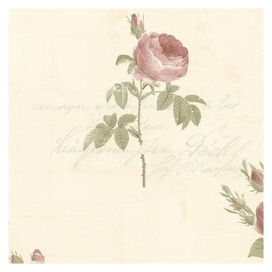 View CG28861 Rose Garden 2  by Norwall Wallpaper