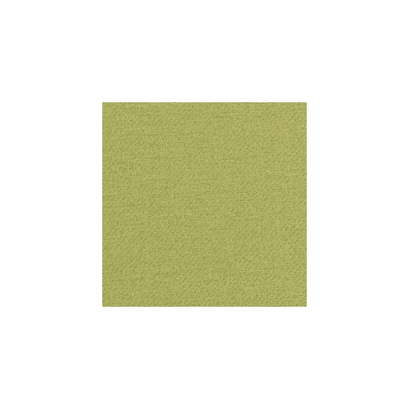 15746-2 | Green - Duralee Fabric