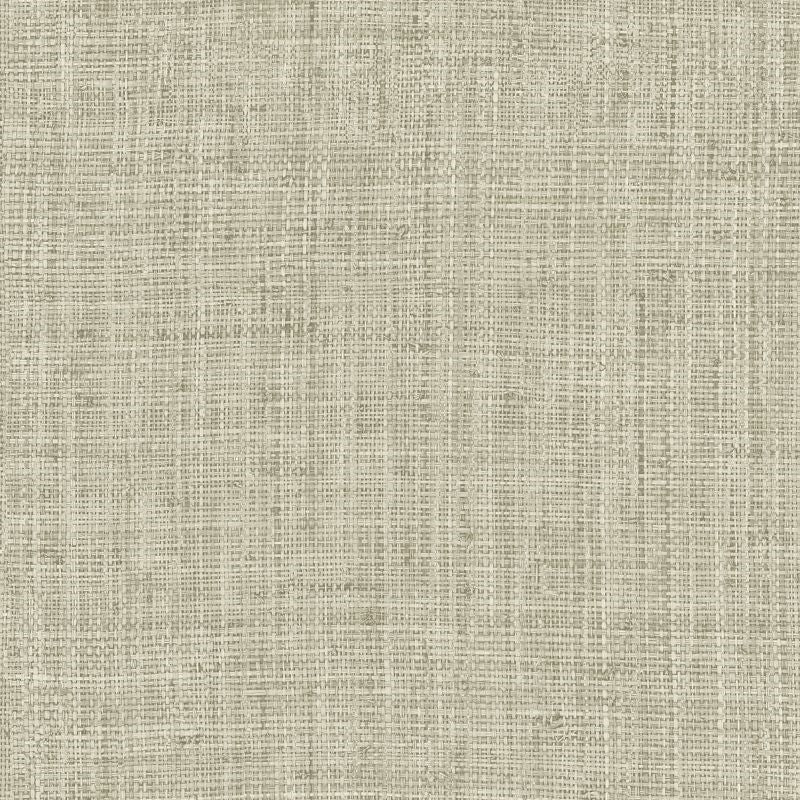 Shop IM71905 Caspia Cressen Faux by Wallquest Wallpaper