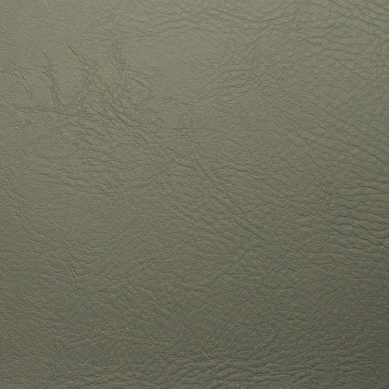 Sample V95102 Vintage (contract Vinyl) Dove by Maxwell