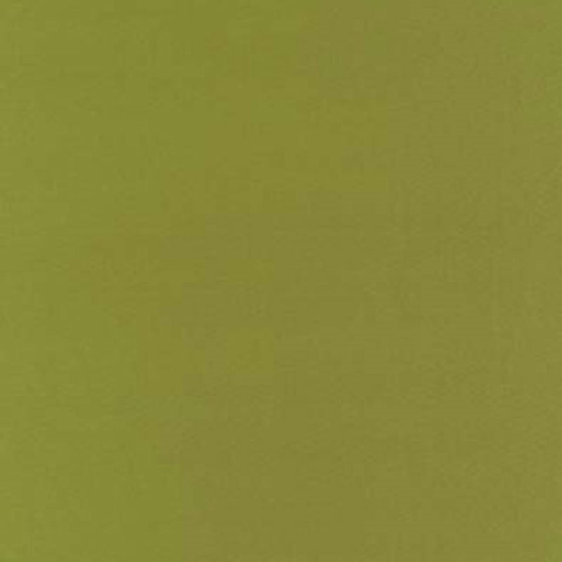 Purchase sample of 63827 Botticelli Silk Taffeta, Apple by Schumacher Fabric