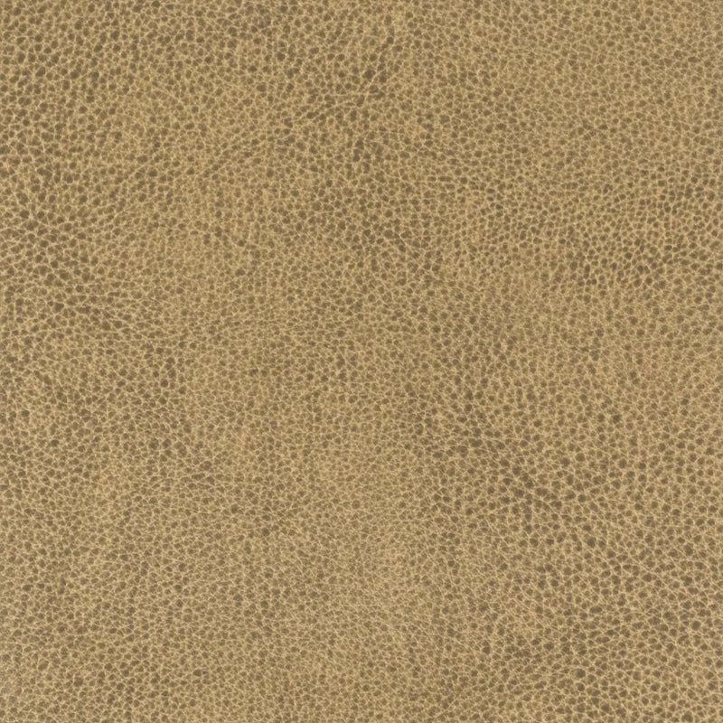Sample Lani-10 Lanister 10 Nut By Stout Fabric