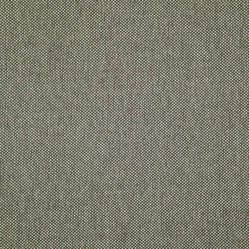 LO8213 | Light Year Griffin by Maxwell Fabric