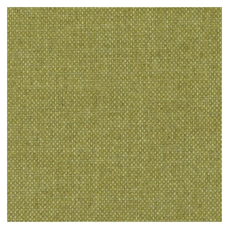 90932-303 | Fern - Duralee Fabric