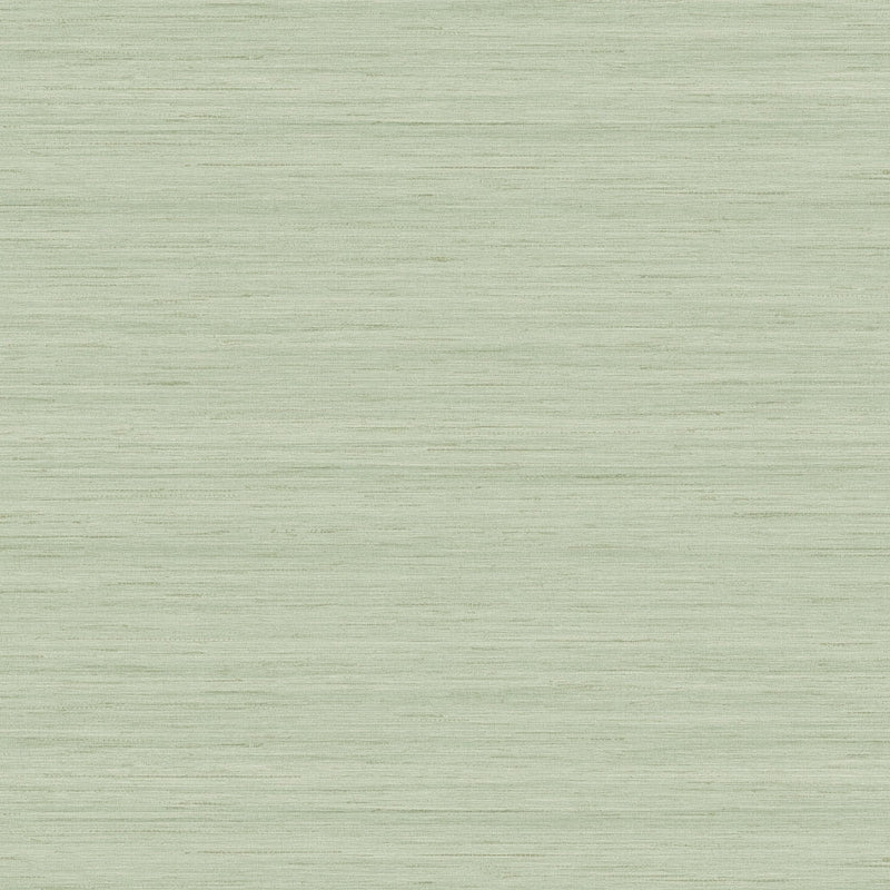 Select TC70334 More Textures Shantung Silk Lemongrass by Seabrook Wallpaper