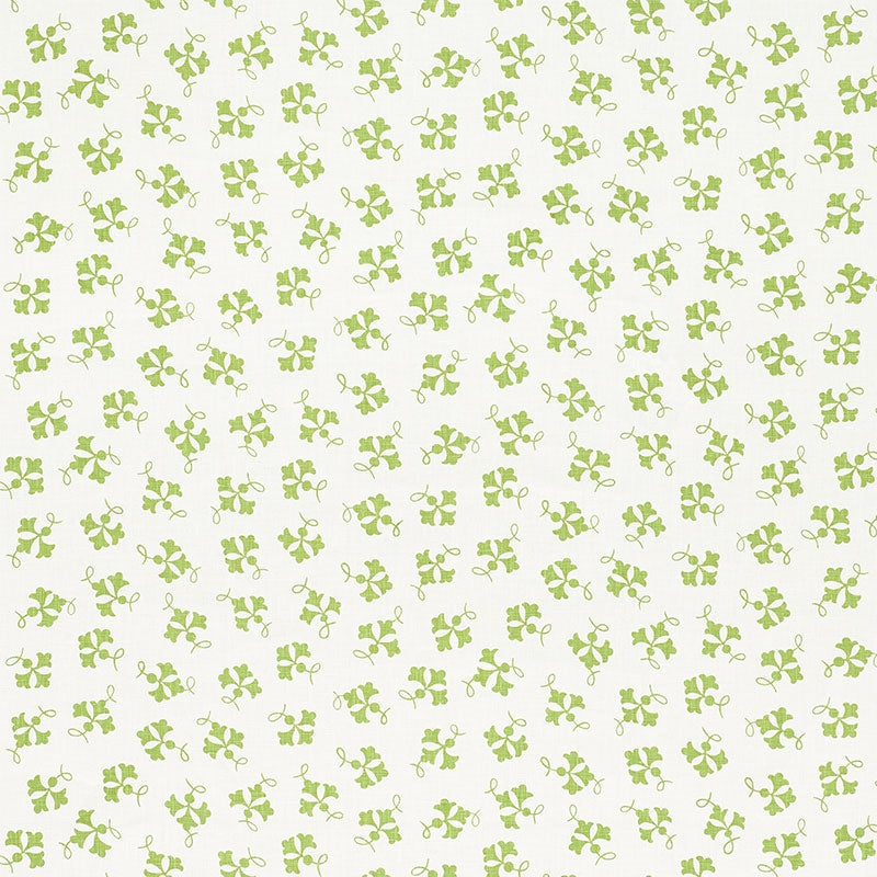 Purchase sample of 177842 Nose Gay, Moss by Schumacher Fabric