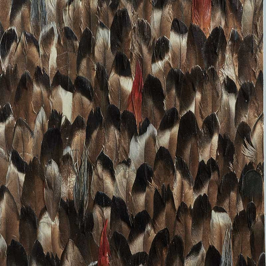 Looking for 5008383 Averlite Black Smoke Schumacher Wallpaper