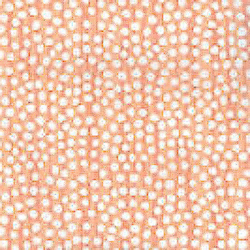Sample AP709-8 Mojave, Corals by Quadrille Wallpaper