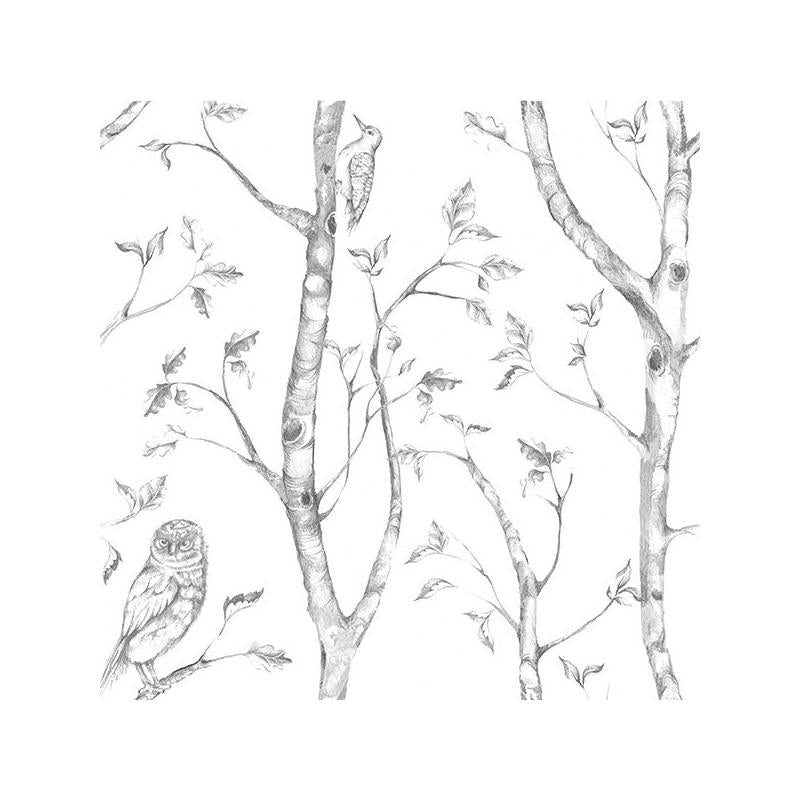 Sample NU1412 Gray Woods Peel And Stick Wallpaper by NuWallpaper