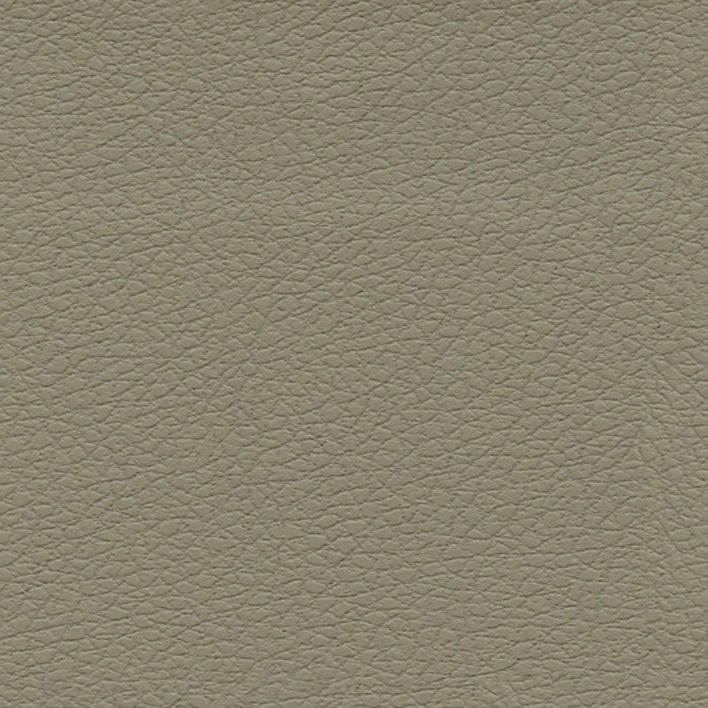 Purchase sample of 303-3915 Brisa, Fedora by Schumacher Fabric
