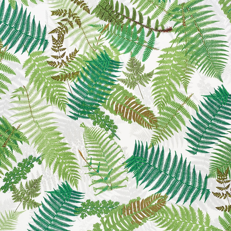 Purchase sample of 177590 FernariumGreen & Ivory by Schumacher Fabric