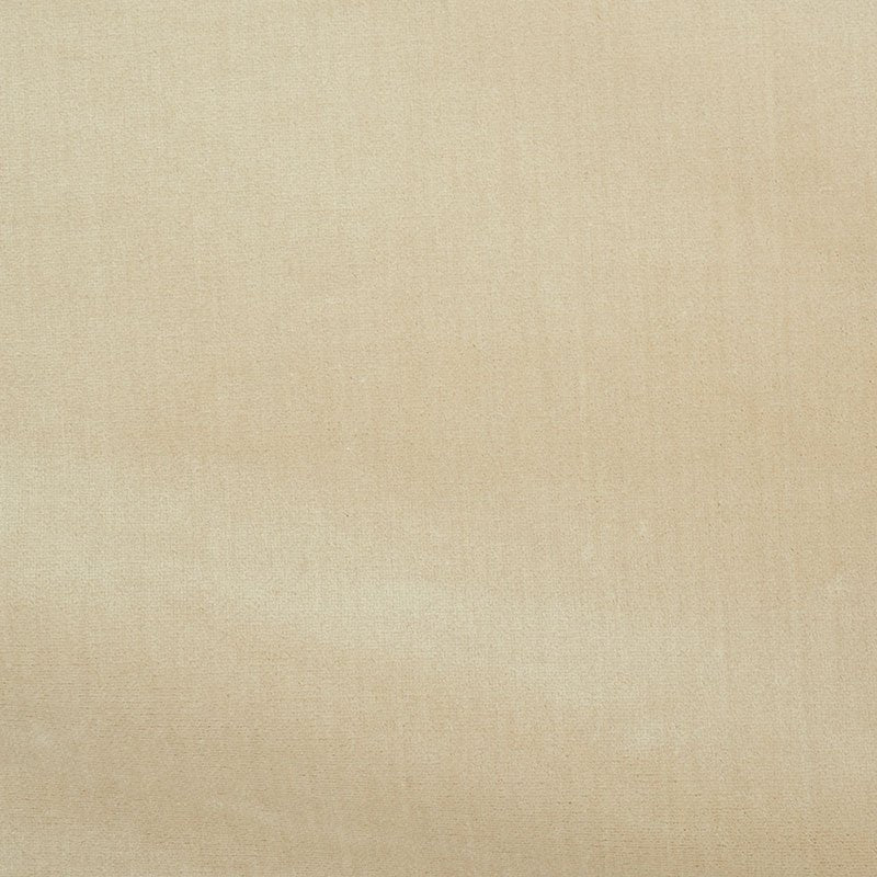 Purchase sample of 70420 Venetian Silk Velvet, Pearl by Schumacher Fabric