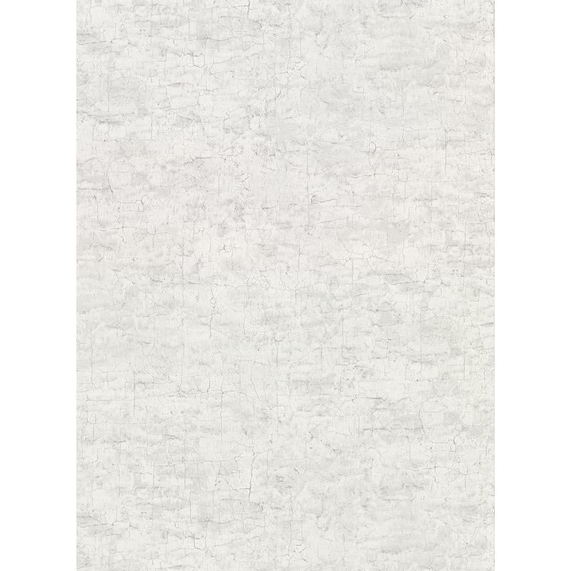 Sample 2921-51108 Warner Textures IX 2754 Main Street, Pembroke Light Grey Faux Plaster Wallpaper by Warner