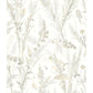 Looking 4072-70027 Delphine Hillaire Wheat Meadow Wallpaper Wheat by Chesapeake Wallpaper