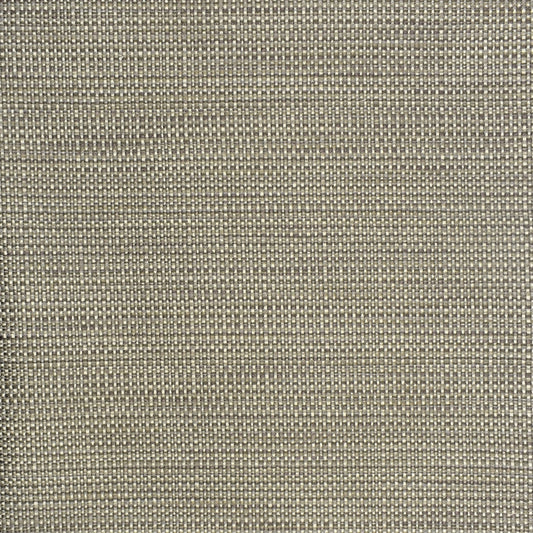 Save S2296 Pewter Gray  Greenhouse Fabric