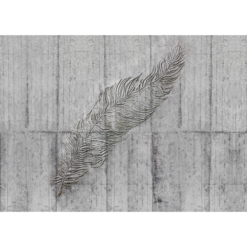 X7-1023 Colours  Concrete Feather Wall Mural by Brewster,X7-1023 Colours  Concrete Feather Wall Mural by Brewster2