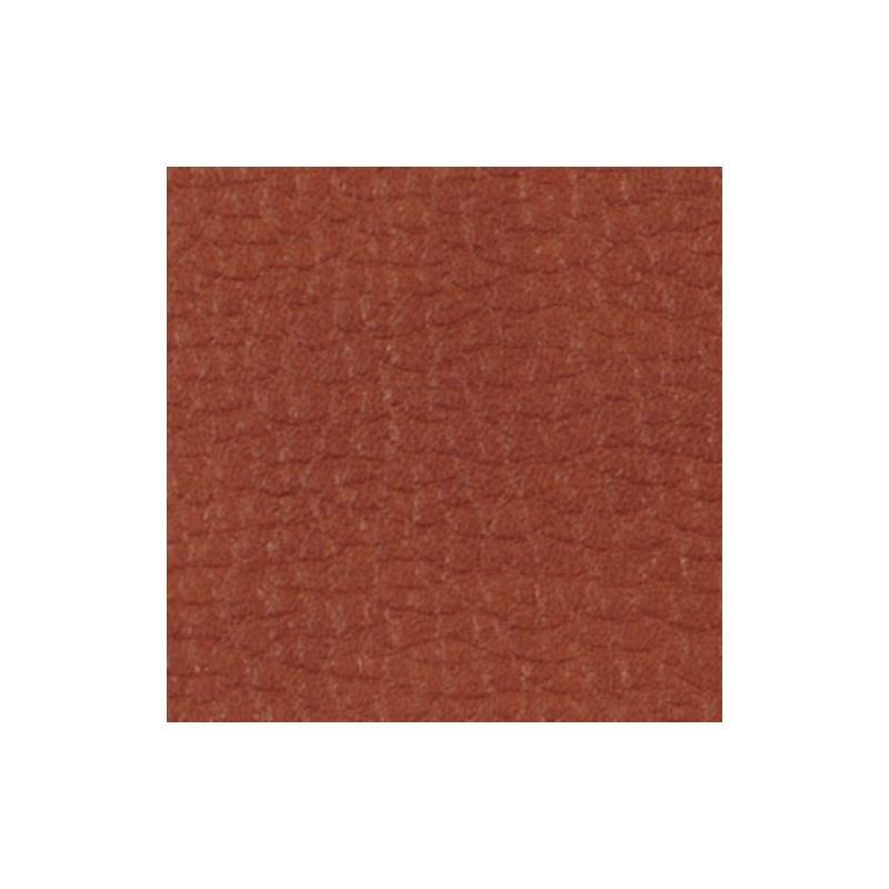207037 | Elefante Clay - Beacon Hill Fabric