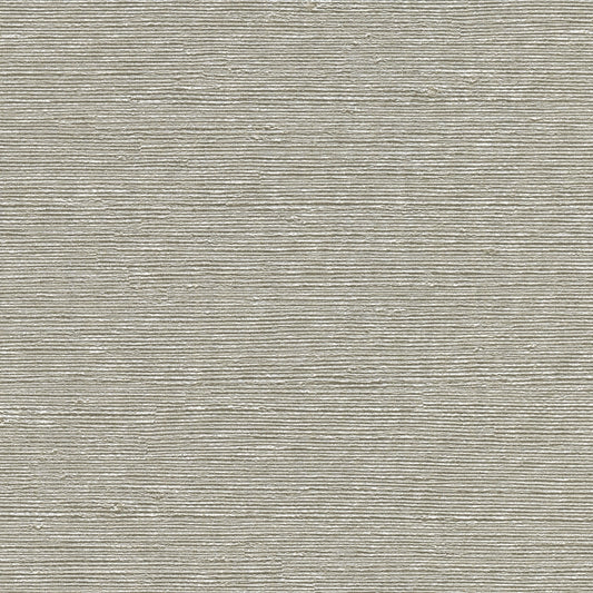 Looking 2758-8004 Textures and Weaves Aspero Light Grey Faux Grasscloth Wallpaper Light Grey by Warner Wallpaper