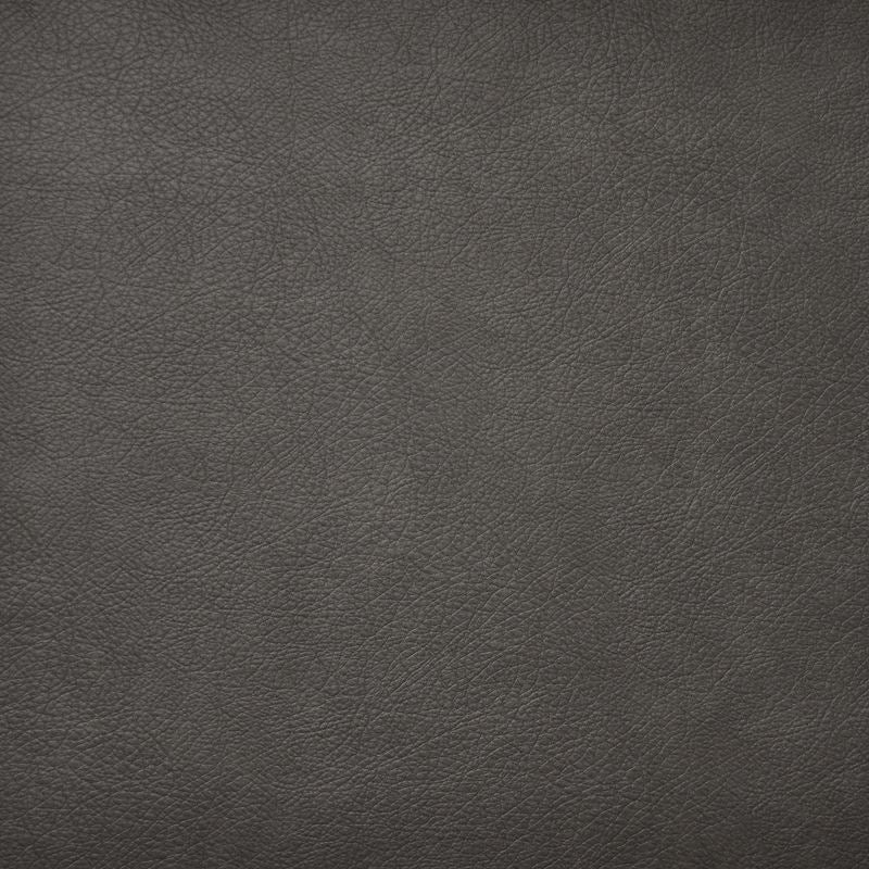 HG6711 | Hidalgo Husky by Maxwell Fabric