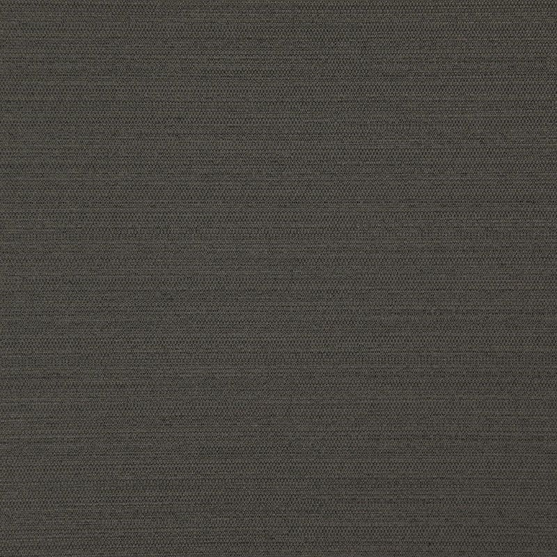 DI5739 | Darwin Coal by Maxwell Fabric