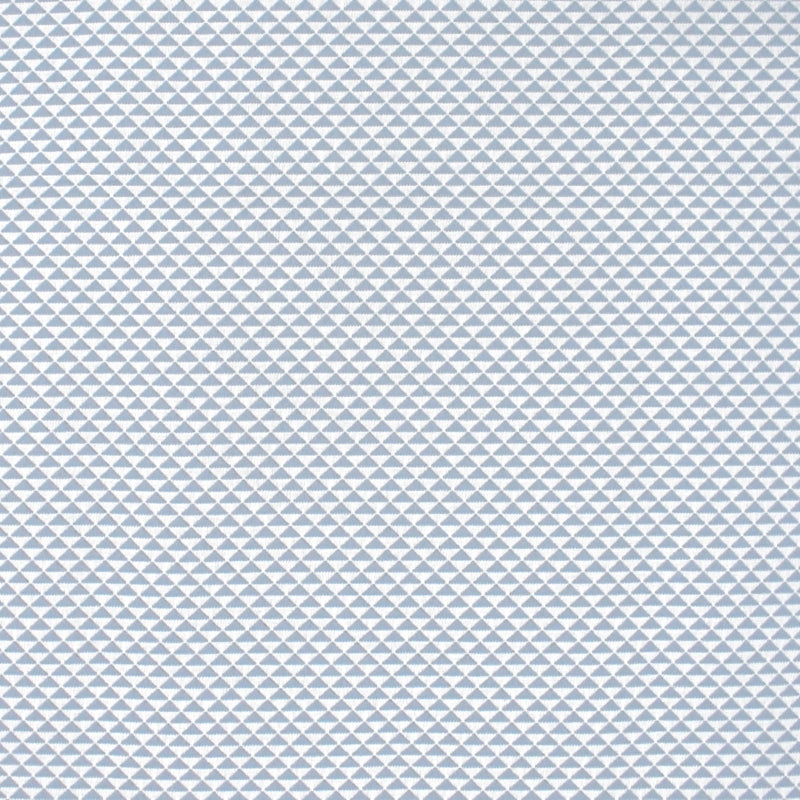 Find S4535 Sky Diamond Blue Greenhouse Fabric