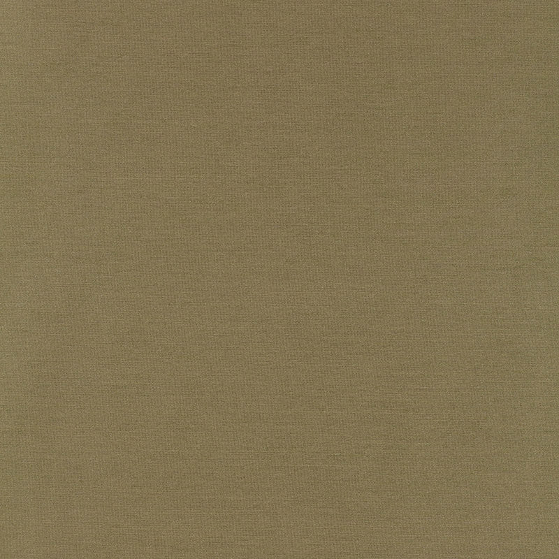 Purchase sample of 63867 Tiepolo Shantung Weave, Sage by Schumacher Fabric