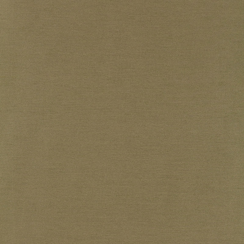 Purchase sample of 63867 Tiepolo Shantung Weave, Sage by Schumacher Fabric
