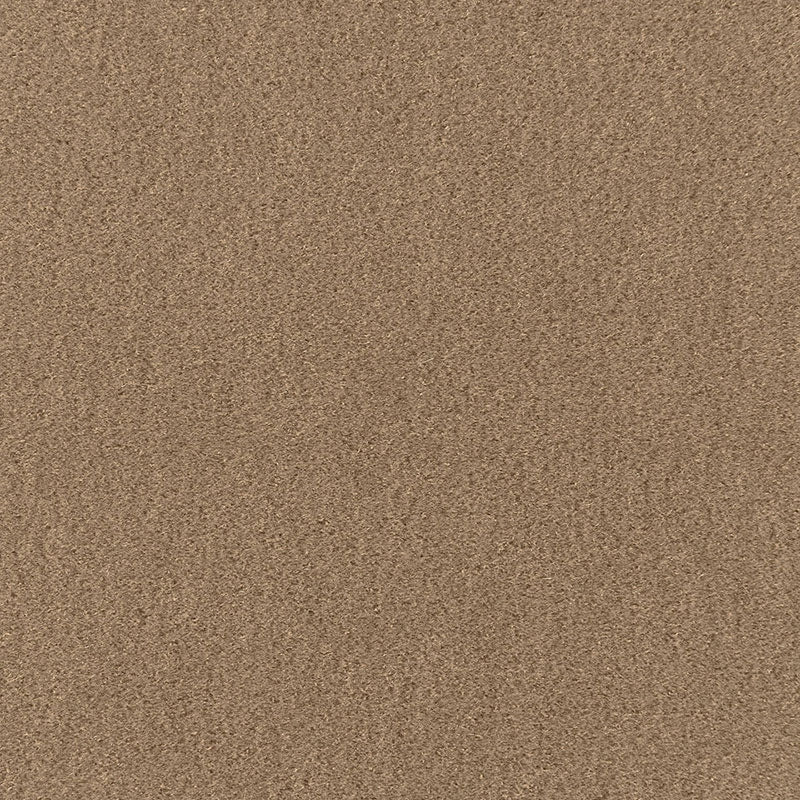 Purchase sample of 64885 San Carlo Mohair Velvet, Sparrow by Schumacher Fabric