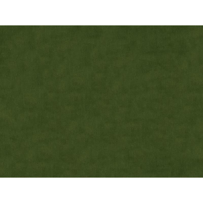 Save 33125.3030.0  Solids/Plain Cloth Green by Kravet Design Fabric