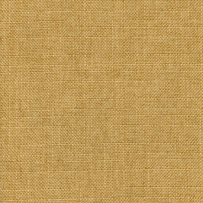 Sample 8123 Ruzgar Gold Magnolia Fabric