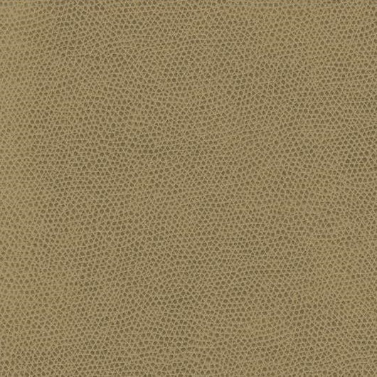 Acquire OPHIDIAN.16 Kravet Contract Upholstery Fabric