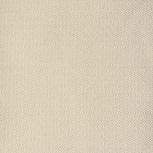 Acquire S2132 Sand Neutral Geometric Greenhouse Fabric