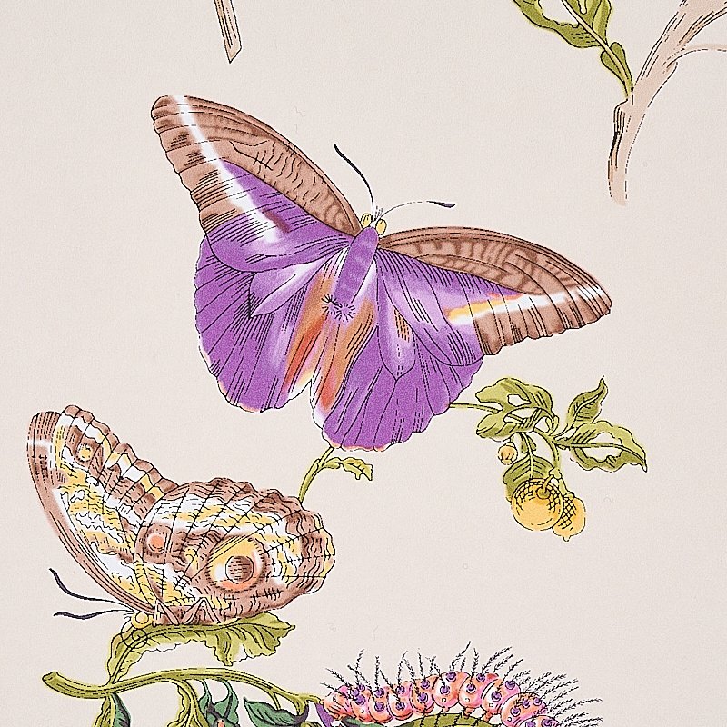 Save on 5010692 Baudin Butterfly Purple Schumacher Wallcovering Wallpaper
