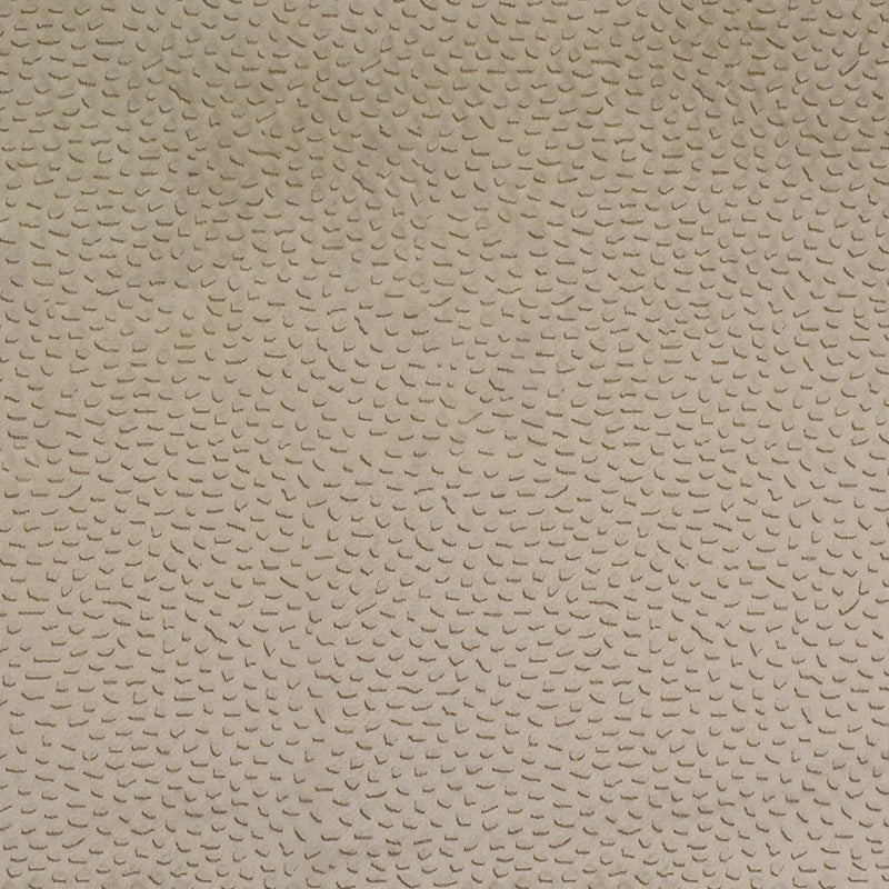 View S4636 Foam Neutral Greenhouse Fabric