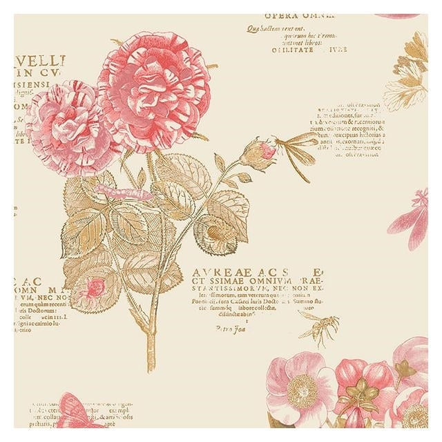 Find PA34246 Paradise Pink Floral Wallpaper by Norwall Wallpaper