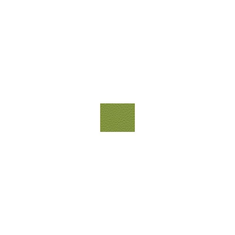 Sample CDA113 Classic (contract Vinyl) Scallion by Maxwell