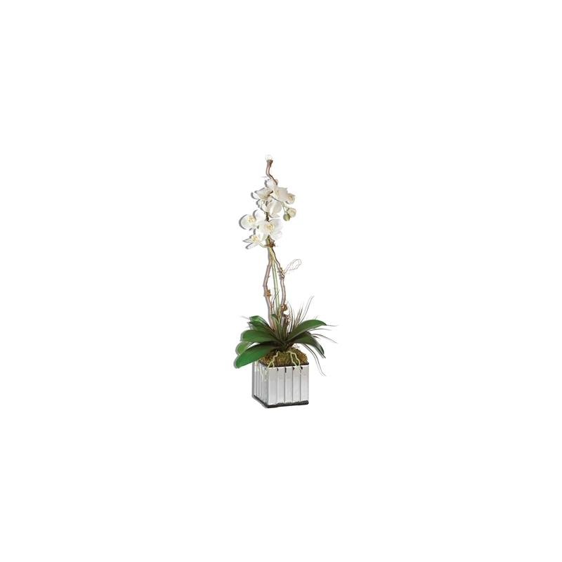 60108 Preserved Boxwood Willow Topiary by Uttermost,,