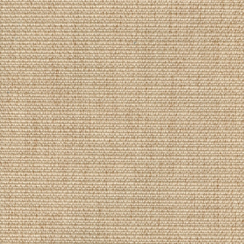 Shop 8051 Cachay Oatmeal Magnolia Fabric