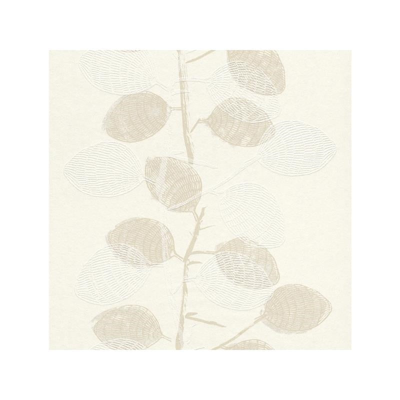 Sample 268460 Cosy White by Washington Wallcovering