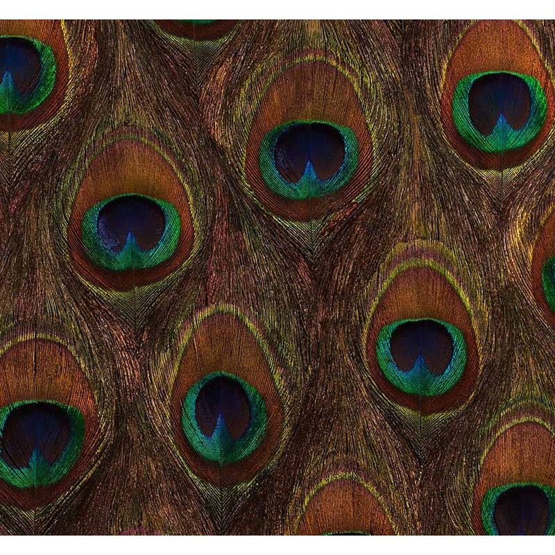 Purchase 5008370 Peacock Ore Peacock Schumacher Wallpaper