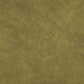 Sample PX9034 Plato Lizard by Maxwell