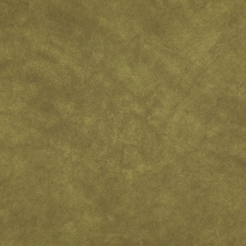 Sample PX9034 Plato Lizard by Maxwell