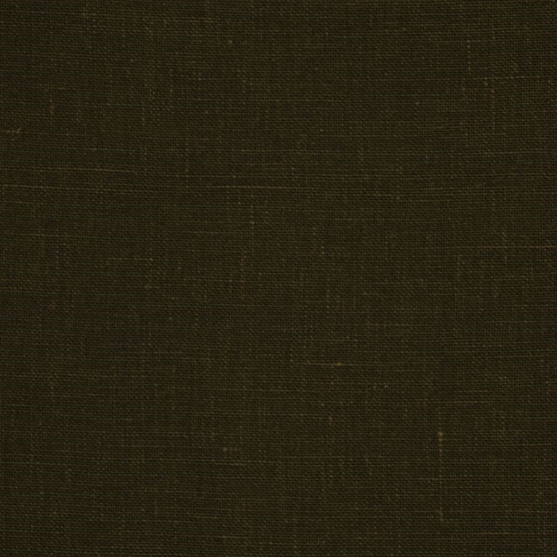 Sample Kilrush Chocolate Robert Allen Fabric.