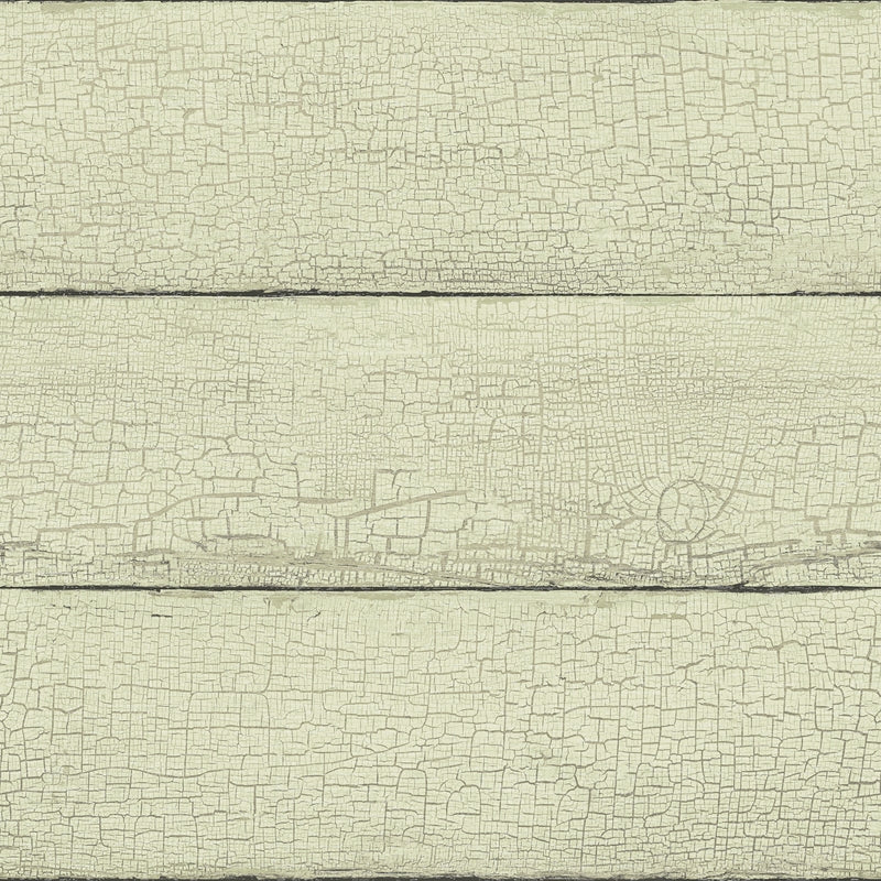 Sample 4072-70014 Delphine, Morgan Mint Distressed Wood Wallpaper by Chesapeake