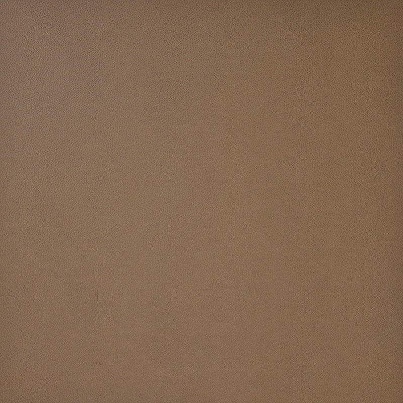 PQ5013 | Pony Express Ram by Maxwell Fabric