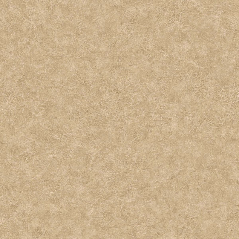 Shop BV30605 Texture Gallery Roma Leather Soft Maple by Seabrook Wallpaper