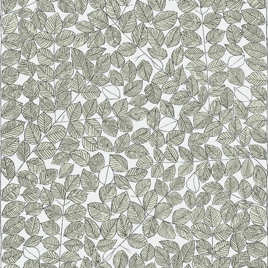 Search 1769 Romans Leaf by Borastapeter Wallpaper