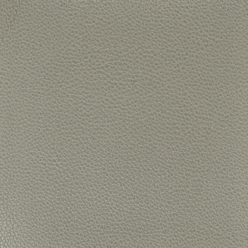 Sample Pitc-1 Pitcher 1 Graphite By Stout Fabric