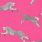 Sample SC 000316634 Leaping Cheetah Cotton Print, Bubblegum by Scalamandre Fabric