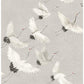 Sample 2764-24304 Windsong Grey Crane Mistral by A-Street Prints